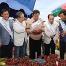 옥곡5일시장 이미지