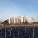 윤성약국 이미지