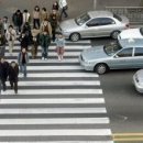 횡단보도 앞 이미지