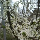 성림농장 이미지