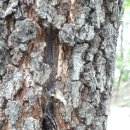 신흥성모유치원 이미지