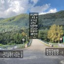 산장관광지 | 가평 산장관광지 오토캠핑장 후기 (C6)