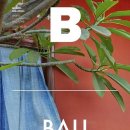 발리(BALI) 이미지