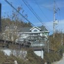 우진그린 이미지