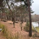 정건축사사무소 이미지