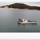 만선을 위한 기원 이미지