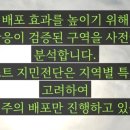 퍼스트광고전단 이미지