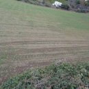 저청초등학교 이미지