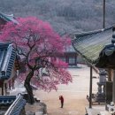 찌개백개 반찬백개 이미지