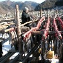 용대리황태촌 이미지