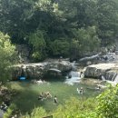 바우산장식당 | 대구 바우산장 계곡 바비큐 후기!!! (비밀)