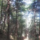 송천1리 이미지