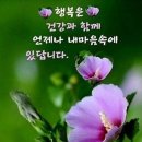 고령인'의 건강 관리, 어디로 갈 것인가...? // 어느 명의의 유언 // 이미지