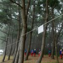 서해안 14, 눈을 크게 뜬다고 무엇이 달라지랴마는 이미지