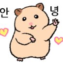 파트너아이디 이미지