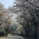 관음2리 | 무갑산~관산(원점회귀)
