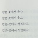 케이피드 이미지