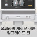 비올라셀성형외과의원 이미지