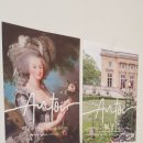 앙뚜케이크 이미지