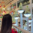 아이자리 | 포레스트 아웃팅스 용인점 동탄 주차 메뉴 자리 아이와 함께 후기