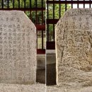 영천 청제 이미지