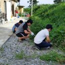 서림요양원 이미지