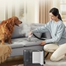 ㈜프로셈 | 비쎌 스팟클린 하이드로 장점 리뷰 및 18%할인 구매 방법