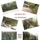 2011년 평생학습도시 문화탐방! - 한국예술종합평생교육원 - 이미지