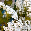 이엔지 메디칼 이미지