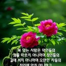 하다간병