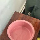 데일리로(DailyRo) 이미지