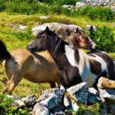 해태거리길 사거리 이미지