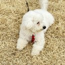 이강산농장 이미지