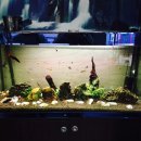 성북낚시터 이미지