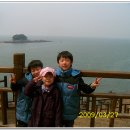 쥬니유니 네이버블로그