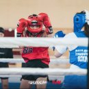 팔로니아 복싱 이미지