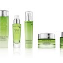 라인에너지 이미지