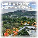 하늘모퉁이 | 커피프린스 이선균집 부암동 산모퉁이 주차 능소화 실시간 만개 현황