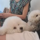 카페 영(Cafe Young) 이미지