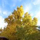 하곡마을 이미지