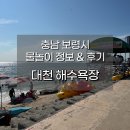 대천해수욕장 야영장 | 대천해수욕장 개장! 주말 방문 후기(샤워장 정보)