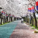 요천제방길 이미지