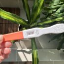 희연재활병원 | [6주차 계류유산] 첫임신,첫유산 계류유산 소파술 후기