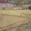 수안보초교 병설유치원 이미지