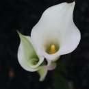 지금 여기 이미지