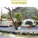 파인트리 캠핑장