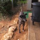 자매하우스민박 이미지