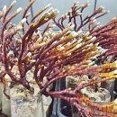 현숙 농장 이미지