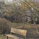 불곡고등학교 | [공지] 분당 구미동 오리공원 황톳길 재개장｜맨발걷기 코스 후기