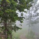 하누리농장 이미지